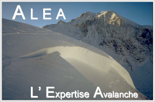 ALEA